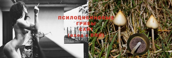 прущие крисы Горнозаводск