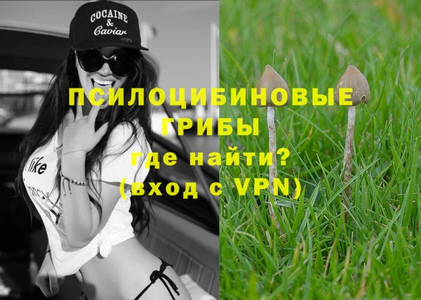 прущие крисы Горнозаводск