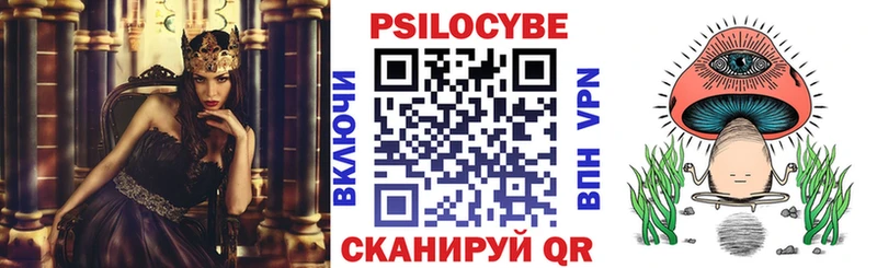 Купить где  Карабаново  Псилоцибиновые грибы Cubensis 