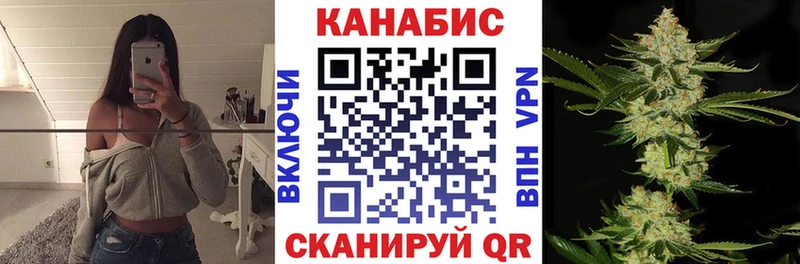 Купить где  Карабаново  МАРИХУАНА ГИДРОПОН 